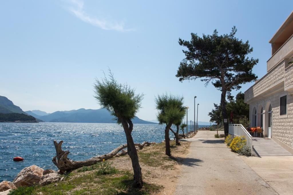 Apartments Bezek Trstenik  Exterior foto